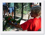 At_the _zoo (18) * 2048 x 1536 * (1.45MB)